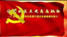 五建党建宣传片